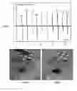 Fig. 01 - NANOWIRE ENABLED PAPER BASED HAPTIC INTERFACES