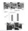 Fig. 04 - NANOWIRE ENABLED PAPER BASED HAPTIC INTERFACES