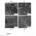 Fig. 05 - NANOWIRE ENABLED PAPER BASED HAPTIC INTERFACES