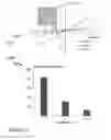 Fig. 07 - NANOWIRE ENABLED PAPER BASED HAPTIC INTERFACES