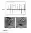 Fig. 15 - NANOWIRE ENABLED PAPER BASED HAPTIC INTERFACES
