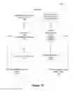 Fig. 13 - Semantic framework for variable haptic output