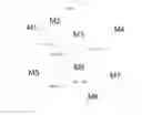 Fig. 13 - DYNAMIC BOXING OF GRAPHICAL OBJECTS, IN PARTICULAR FOR KNOWLEDGE QUANTIFICATION