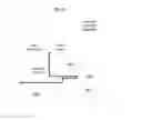 Fig. 20 - DYNAMIC BOXING OF GRAPHICAL OBJECTS, IN PARTICULAR FOR KNOWLEDGE QUANTIFICATION