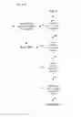 Fig. 35 - DYNAMIC BOXING OF GRAPHICAL OBJECTS, IN PARTICULAR FOR KNOWLEDGE QUANTIFICATION