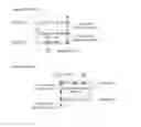 Fig. 44 - DYNAMIC BOXING OF GRAPHICAL OBJECTS, IN PARTICULAR FOR KNOWLEDGE QUANTIFICATION