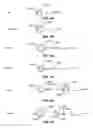 Fig. 08 - EMAIL CLIENT DISPLAY TRANSITIONS BETWEEN PORTRAIT AND LANDSCAPE