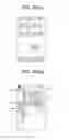 Fig. 09 - MOBILE TERMINAL AND CONTROL METHOD THEREOF