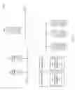 Fig. 02 - Systems and methods for file management by mobile computing devices
