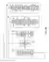 Fig. 10 - Methods and apparatus for data recovery following a service interruption at a central processing station