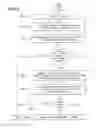Fig. 04 - Script converter