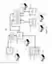 Fig. 05 - DATA BROKERING SYSTEM FOR FULFILLING DATA REQUESTS TO MULTIPLE DATA PROVIDERS