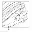 Fig. 01 - FIELD ROSETTE MAPPING FOR COMPOSITE PART DESIGN