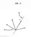 Fig. 03 - FIELD ROSETTE MAPPING FOR COMPOSITE PART DESIGN