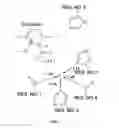 Fig. 04 - Automated method of computational enzyme identification and design
