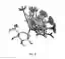 Fig. 11 - Automated method of computational enzyme identification and design