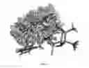 Fig. 19 - Automated method of computational enzyme identification and design