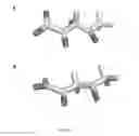 Fig. 22 - Automated method of computational enzyme identification and design