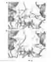 Fig. 27 - Automated method of computational enzyme identification and design