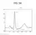 Fig. 06 - User authentication method and apparatus based on electrocardiogram (ECG) signal