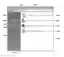 Fig. 30 - Methods, systems, and apparatuses for managing a hard drive security system