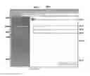 Fig. 37 - Methods, systems, and apparatuses for managing a hard drive security system