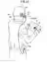 Fig. 24 - Portable information code reader