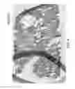 Fig. 04 - Learning pixel visual context from object characteristics to generate rich semantic images