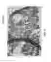Fig. 08 - Learning pixel visual context from object characteristics to generate rich semantic images