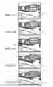 Fig. 15 - Video tracking systems and methods employing cognitive vision