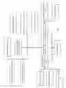 Fig. 17 - Applied essentia dunning