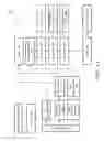 Fig. 02 - Liquidation system for cash and fixed-asset donations
