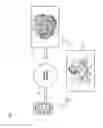 Fig. 08 - Apparatus, method, and system for providing digital coupons
