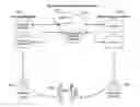 Fig. 01 - Systems and methods for facilitating interactions between consumers and individuals having marketable public recognition
