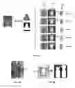 Fig. 06 - Re-ranking item recommendations based on image feature data