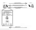 Fig. 01 - Identification and caller options relating to custom ringback audio