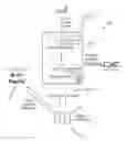 Fig. 01 - Apparatus, data base system and computer program product for trading financial instruments