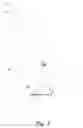 Fig. 10 - Dynamic motion path blur kernel