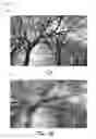 Fig. 13 - Dynamic motion path blur kernel