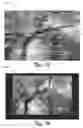 Fig. 14 - Dynamic motion path blur kernel