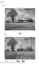 Fig. 20 - Dynamic motion path blur kernel