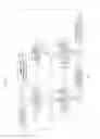 Fig. 08 - Noise-reduction processing device
