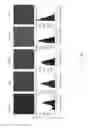 Fig. 09 - Virtual spatial overlap modulation microscopy for resolution improvement