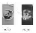 Fig. 08 - Automated food recognition and nutritional estimation with a personal mobile electronic device