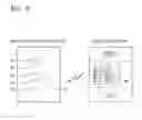 Fig. 10 - Method and apparatus for providing preview image