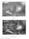 Fig. 04 - Blend modes for mineralogy images