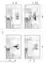Fig. 13 - METHOD AND APPARATUS FOR CONTROLLING THE NOTIFICATION INFORMATION BASED ON MOTION