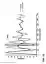 Fig. 20 - AUTHENTICATION APPARATUS AND METHOD