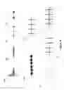 Fig. 09 - Semantic Framework for Variable Haptic Output