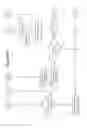 Fig. 32 - Golf club apparatuses and methods